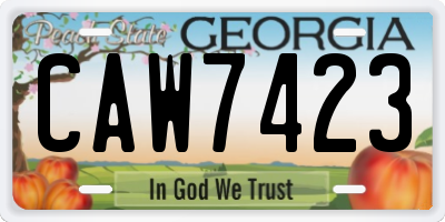GA license plate CAW7423