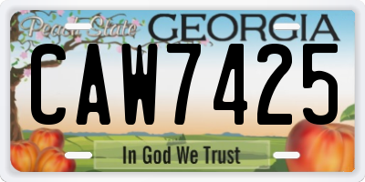 GA license plate CAW7425