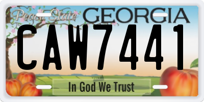 GA license plate CAW7441