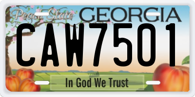 GA license plate CAW7501