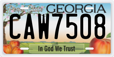 GA license plate CAW7508