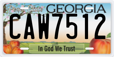 GA license plate CAW7512