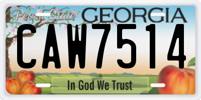 GA license plate CAW7514
