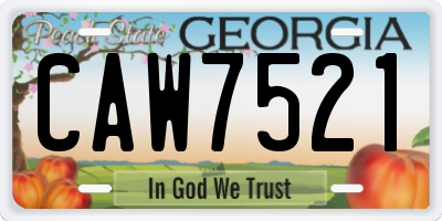 GA license plate CAW7521