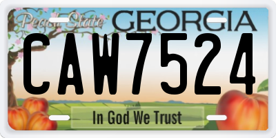 GA license plate CAW7524