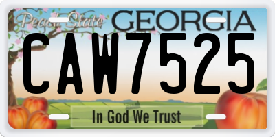 GA license plate CAW7525