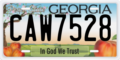GA license plate CAW7528