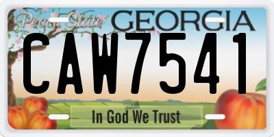 GA license plate CAW7541