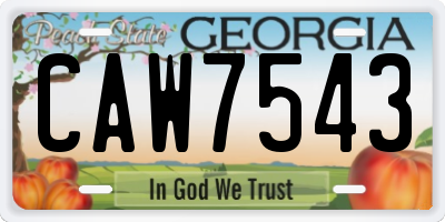 GA license plate CAW7543