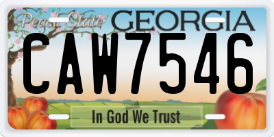 GA license plate CAW7546