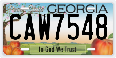 GA license plate CAW7548