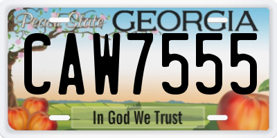 GA license plate CAW7555