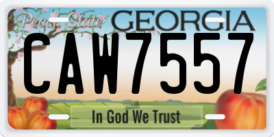 GA license plate CAW7557