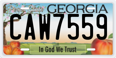 GA license plate CAW7559