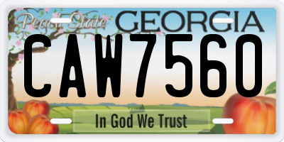 GA license plate CAW7560
