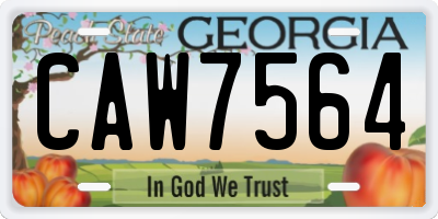 GA license plate CAW7564