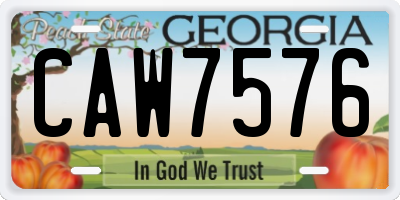GA license plate CAW7576