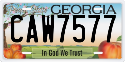 GA license plate CAW7577