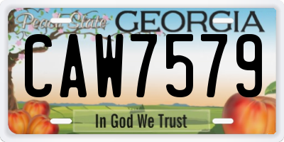 GA license plate CAW7579