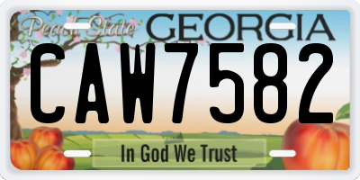 GA license plate CAW7582
