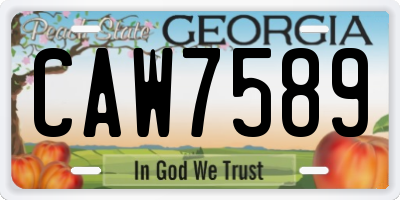 GA license plate CAW7589
