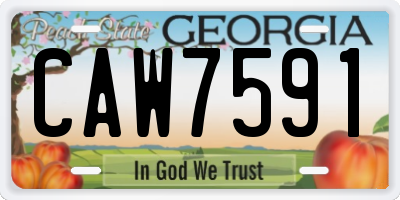 GA license plate CAW7591
