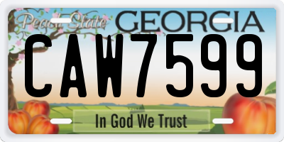 GA license plate CAW7599