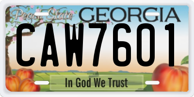 GA license plate CAW7601