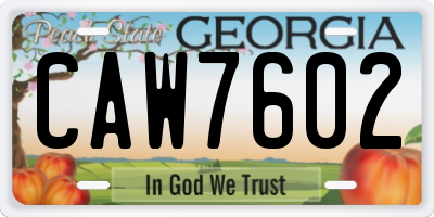 GA license plate CAW7602