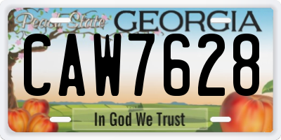 GA license plate CAW7628