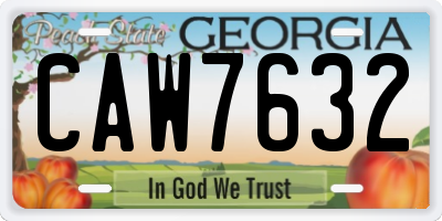 GA license plate CAW7632