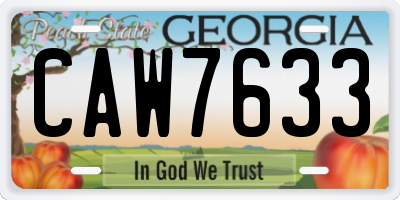 GA license plate CAW7633