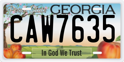 GA license plate CAW7635