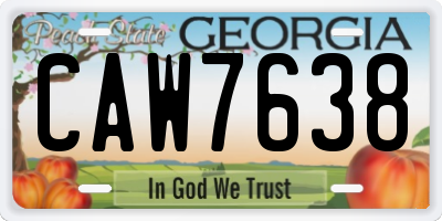 GA license plate CAW7638