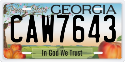 GA license plate CAW7643