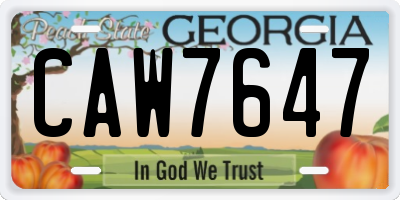 GA license plate CAW7647