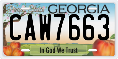 GA license plate CAW7663