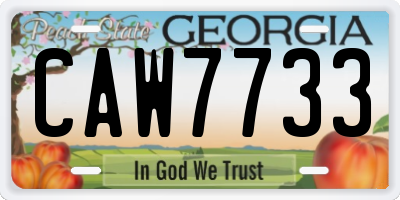 GA license plate CAW7733