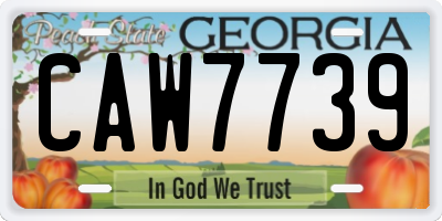 GA license plate CAW7739