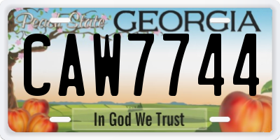 GA license plate CAW7744