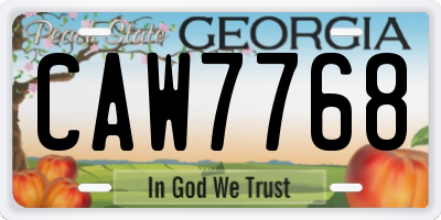 GA license plate CAW7768