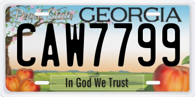GA license plate CAW7799