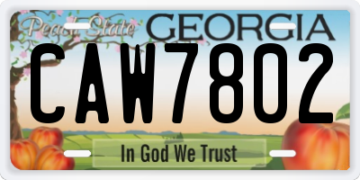 GA license plate CAW7802
