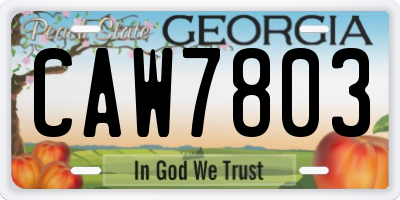 GA license plate CAW7803