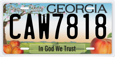 GA license plate CAW7818