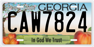 GA license plate CAW7824