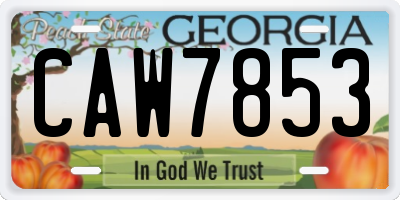 GA license plate CAW7853