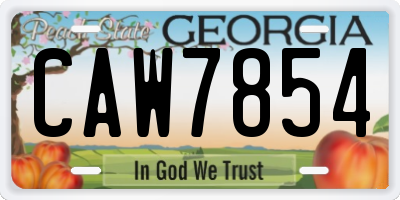GA license plate CAW7854