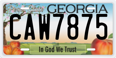 GA license plate CAW7875