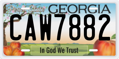 GA license plate CAW7882